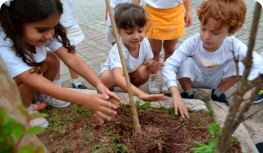 Desenvolvimento Socioemociona